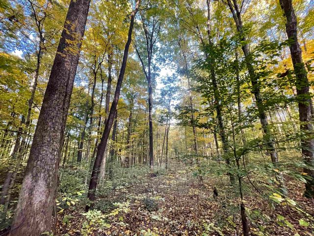 Lot 1 B & State Hwy  #2-46, Spencer, IN 47460