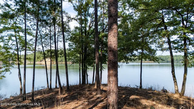 55 Rampart Ct, Alexander City, AL 35010