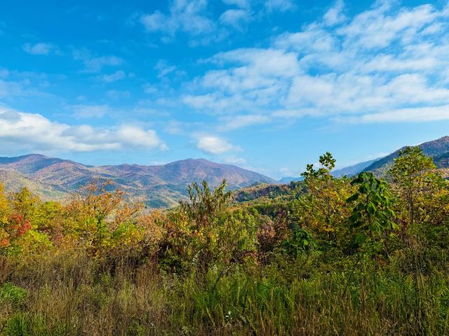 7 Serenity Ridge Trl, Andrews, NC 28901