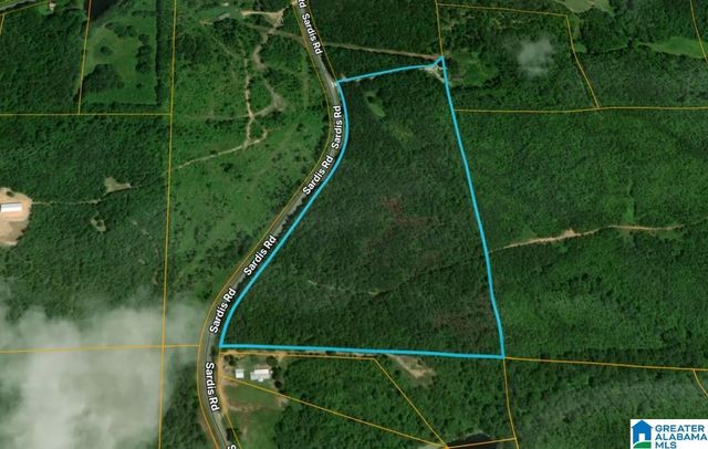 Bluff Springs Rd #X, Ashland, AL 36251