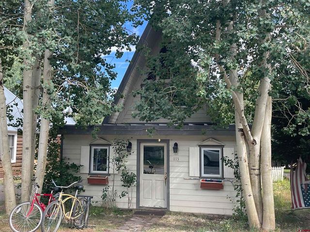 113 Sopris Ave, Crested Butte, CO 81224
