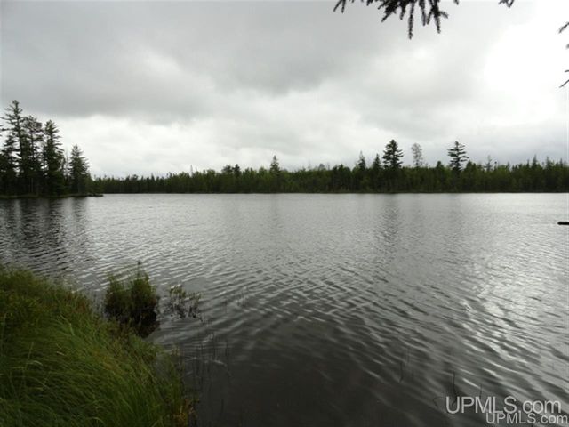 Voelker Lk, Ishpeming, MI 49849