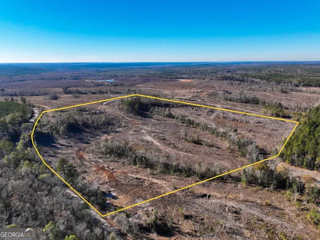 Long Branch Rd #7, Toomsboro, GA 31090