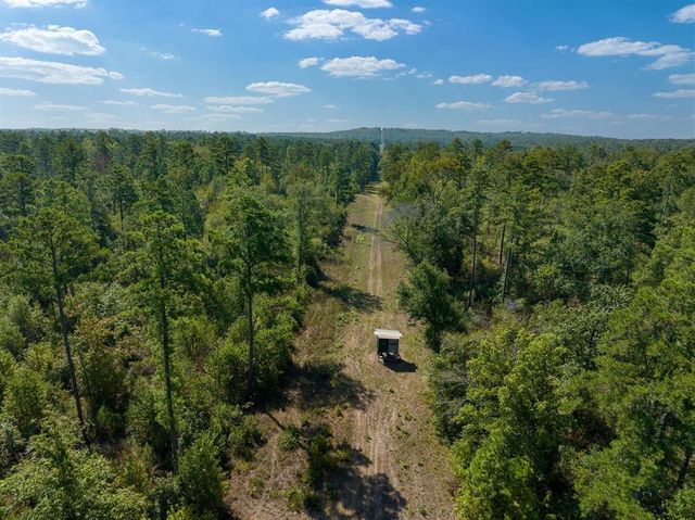 County Road 3163 S, Laneville, TX 75667