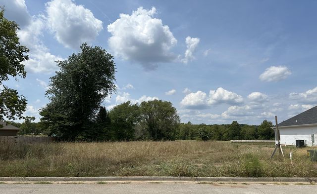 #13-5497 Anita Ave Avenue, Pleasant Hope, MO 65725