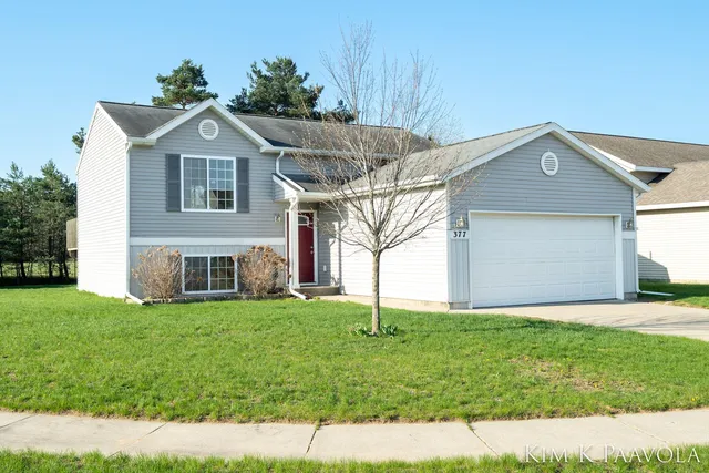 377 White Pine Ct, Belding, MI 48809