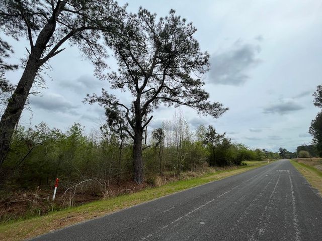 Johnsville Rd, Smoaks, SC 29481