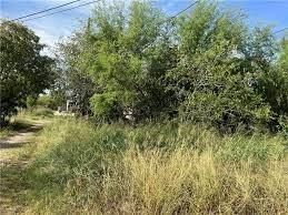 24 0th Tract, Beeville, TX 78102