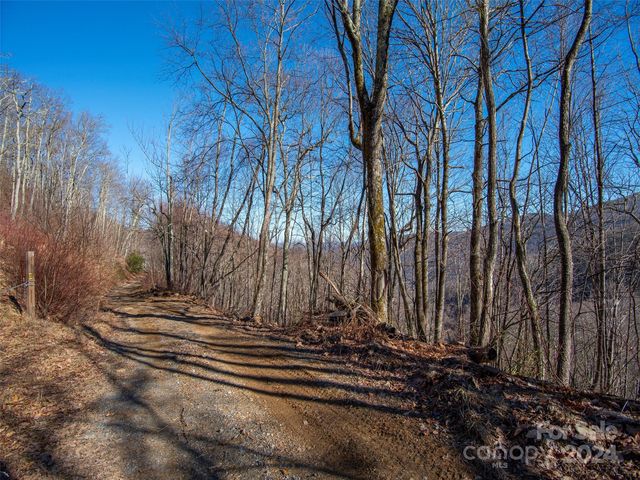 Long Branch Rd, Maggie Valley, NC 28751