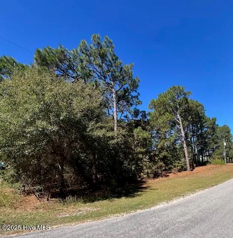 Tbd Cloud Avenue, Hamlet, NC 28345