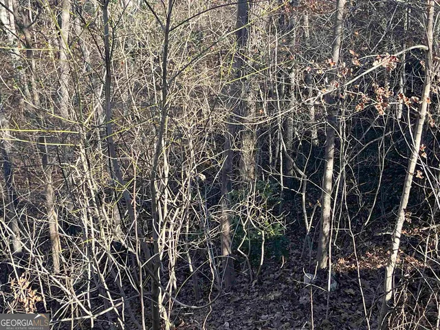 608 & 612 Green Valley Dr   SE, Smyrna, GA 30082