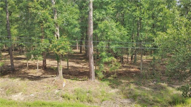 Lot 1A Two Strawberry Ln, Hammond, LA 70403