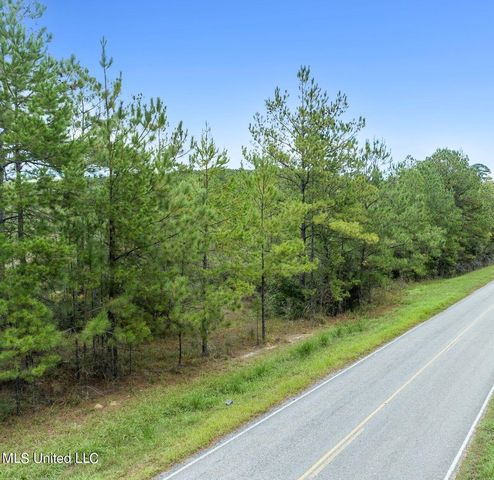 Indian Hill Rd, State Line, MS 39362