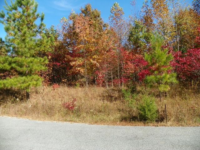 Lot 14 W  View Rd, Spencer, TN 38585
