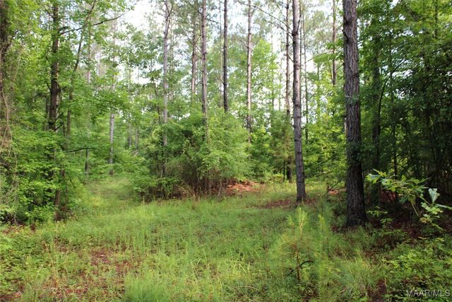 Providence Rd, Rockford, AL 35136