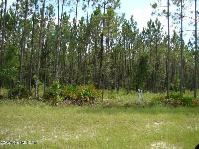 14098 DUNROVEN Drive, Bryceville, FL 32009