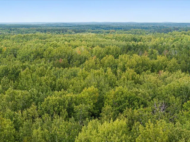LOT Sandbar Ln #I, Merrifield, MN 56465