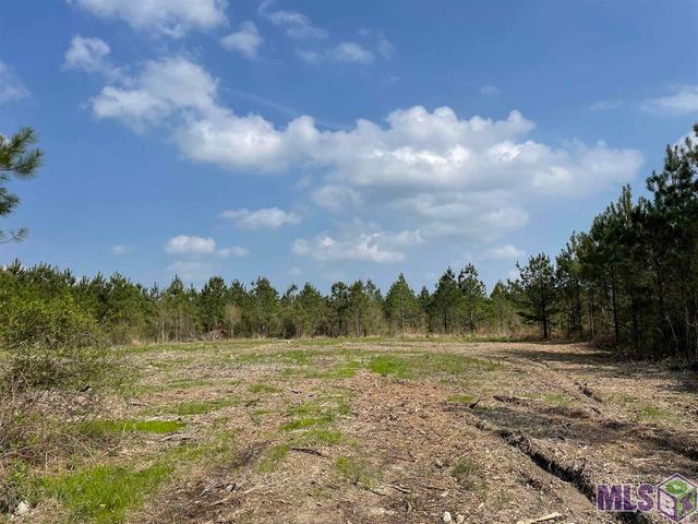 Tract 10 Lorin Wall Rd   #10, Holden, LA 70744