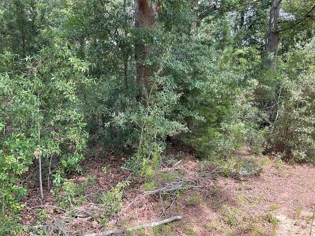 Lot 1A Sweetwater Ave, Albany, GA 31721