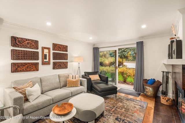205 E  Durant Ave #1B, Aspen, CO 81611