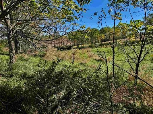 County Road O, Mineral Pt, WI 53565