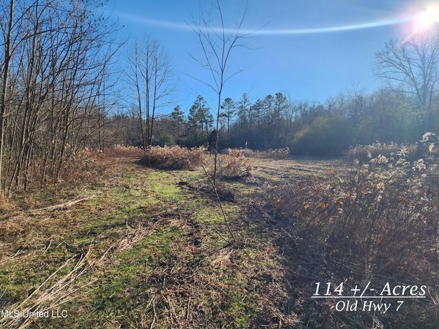 114/ACRE S  Old Highway 7, Holly Springs, MS 38635
