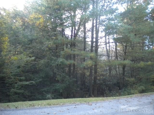 Lot 1 Pine Chase, Glade Valley, NC 28627