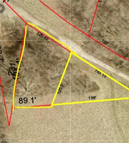 Township Road 120, Dillonvale, OH 43917