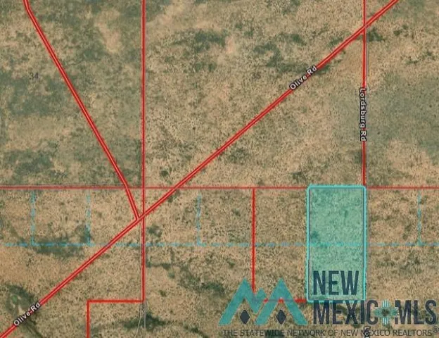 S  Two T 5s R 27E #E2NE4, Roswell, NM 88203