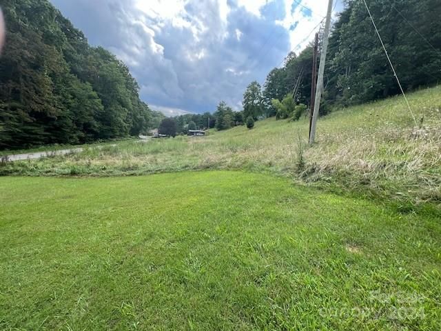 1030 Long Branch Rd, Green Mountain, NC 28740