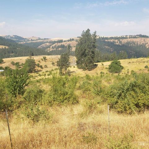 Tbd Clearwater Dr, Harpster, ID 83552