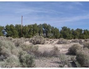 1661 E  Antelope St, Pahrump, NV 89048