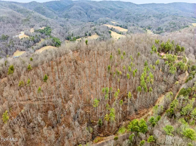 Tbd Stage Rd, Mountain City, TN 37683