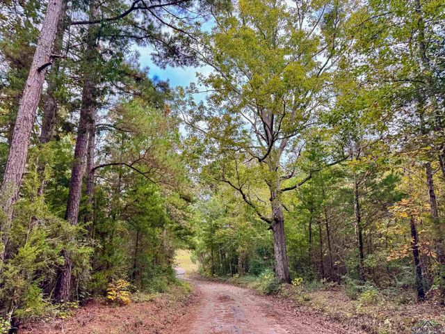 County Road 2367, Marietta, TX 75566