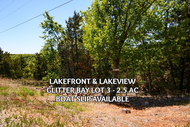 Lot 3 Waterfield Drive, Reeds Spring, MO 65737