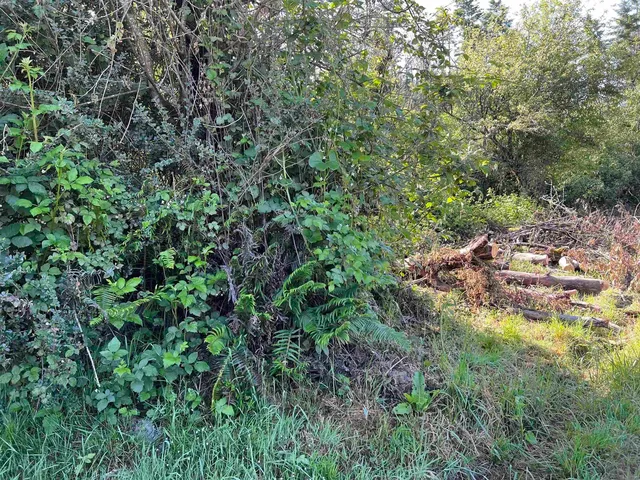 215 N  Rossini Ln, Smith River, CA 95567