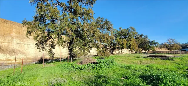 7571 Pebble Beach Dr #103, Corning, CA 96021