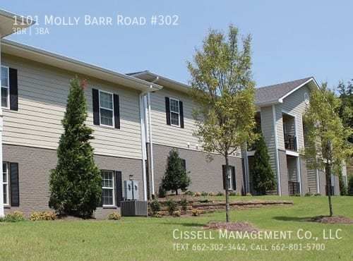 1101 Molly Barr Rd #302, Oxford, MS 38655