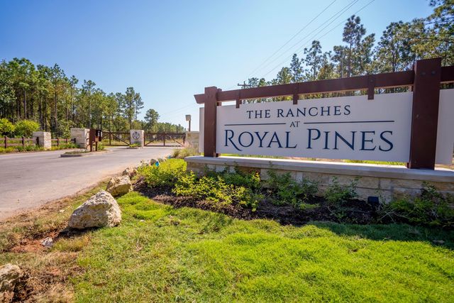 Queen Anne Way, Huntsville, TX 77340