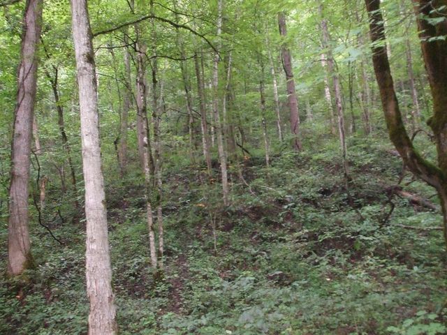 Db #702-418, Hueysville, KY 41640