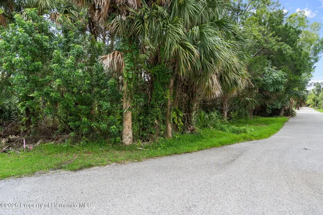 River Point Dr, Spring Hill, FL 34607