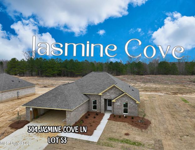 304 Jasmine Cove Ln, Brandon, MS 39042