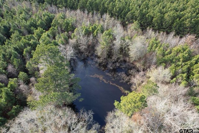 TRACT County Road 4037 #D, Timpson, TX 75975