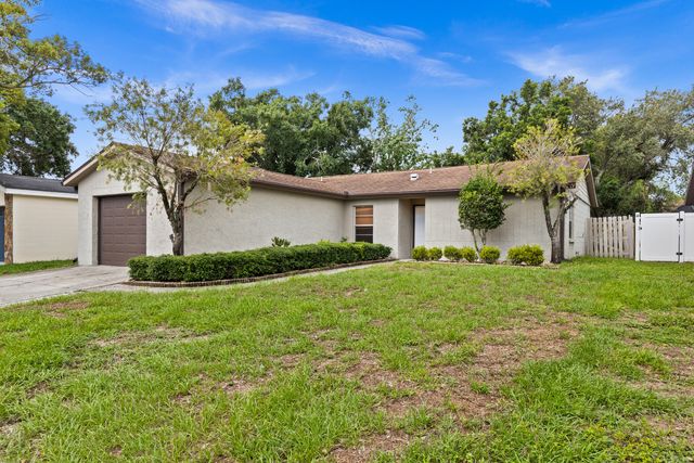 11503 Smokethorn Dr, Riverview, FL 33579