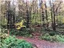 L1.00 Hollenbeck Road, Worcester, NY 12197