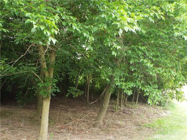 Vacant Madison Avenue Lots, Brownsville, PA 15417