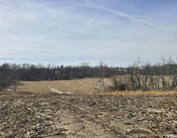 2460 N  County Road 2500 E, La Harpe, IL 61450