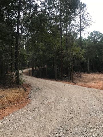 Burgetown Rd   #2, Carriere, MS 39426