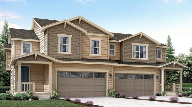 Plateau Plan in Parkdale : Paired Homes, Erie, CO 80026