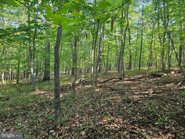 Brandy Rd, Front royal, VA 22630